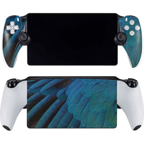 Macaw PlayStation PS5 Skins